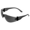 Variation picture for BH133AF Black Temples - Smoke Anti-Fog Lens
